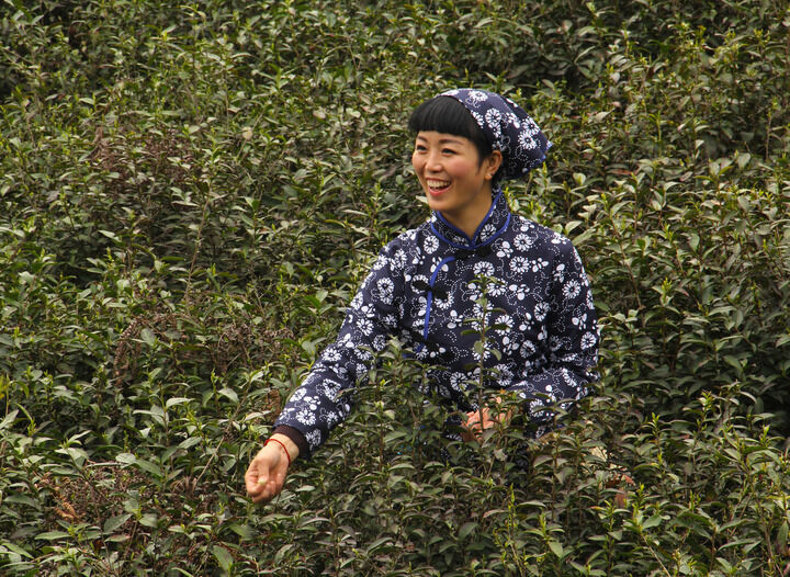 致命纠缠